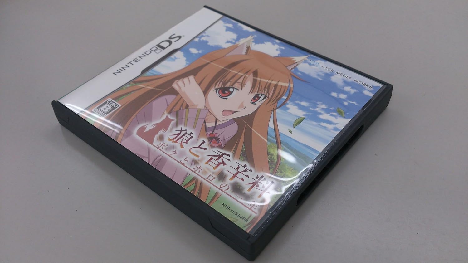 Коробка Nintendo DS с игрой Волчица и Пряности
