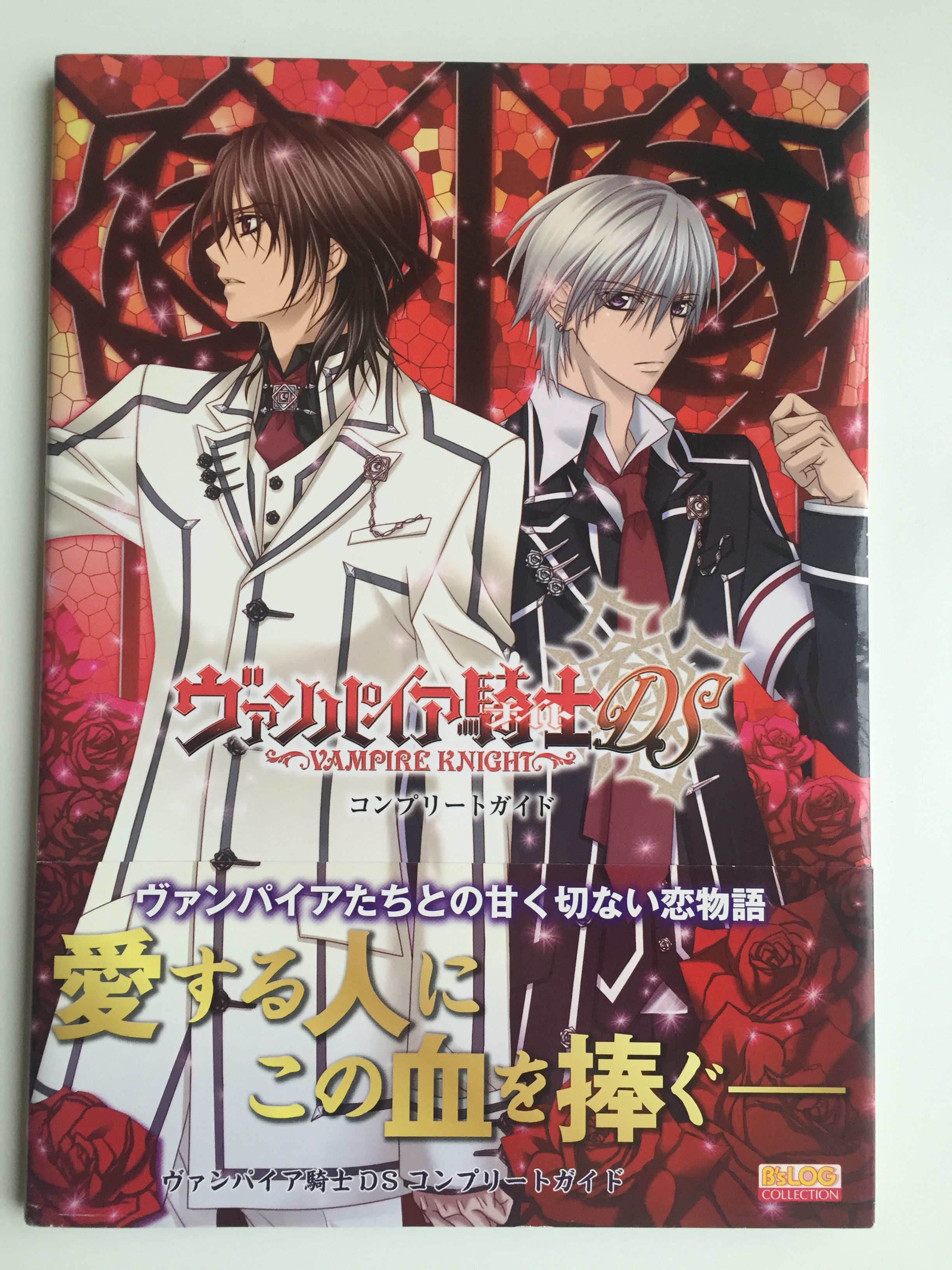 Обложка Vampire Knight DS Complete Guide с Канамэ и Зеро на фоне красного витража